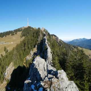 Die Alpe Weiherle Eine Naturoase in den Bergen