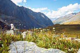 Die Schönheit der Alpen Eine Reise durch Österreichs majestätische Berge