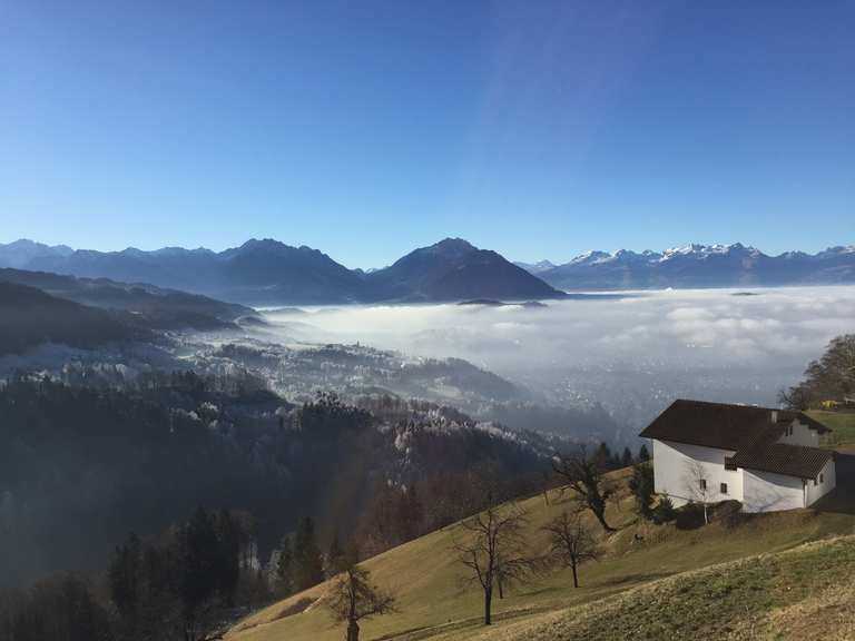 Von der Alpe Almein zur Alpe: