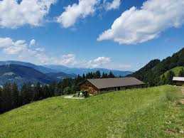 Plan für Artikel Alpe Neuschwand im Lecknertal