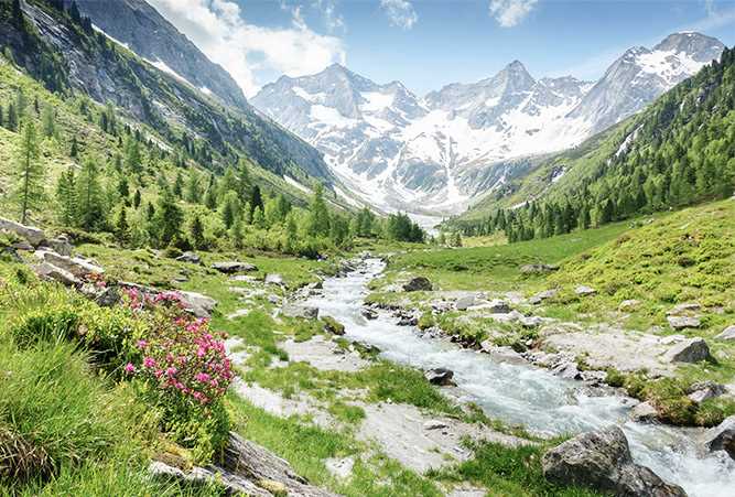 Bereit für Ihren Alpenurlaub?