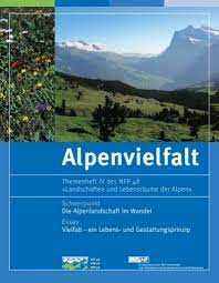 Die Alpen als natürliche Landschaft für die Wirtschaftsprüfung
