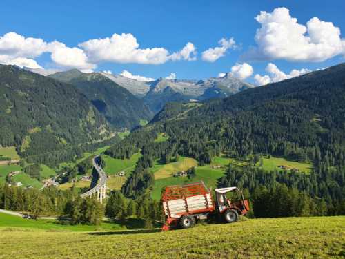 Die Bedeutung der Alpenlandwirtschaft in Österreich