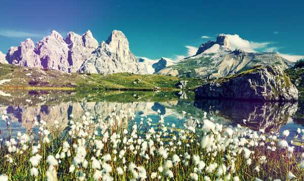 Die Schönheit der Alpen und ihre vielfältige Natur