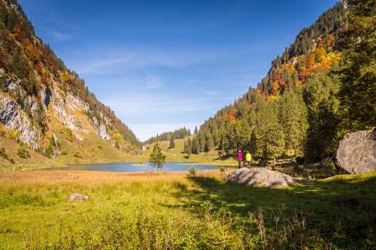 Alp Jagd Gutschein - Ein unvergessliches Abenteuer in der Natur