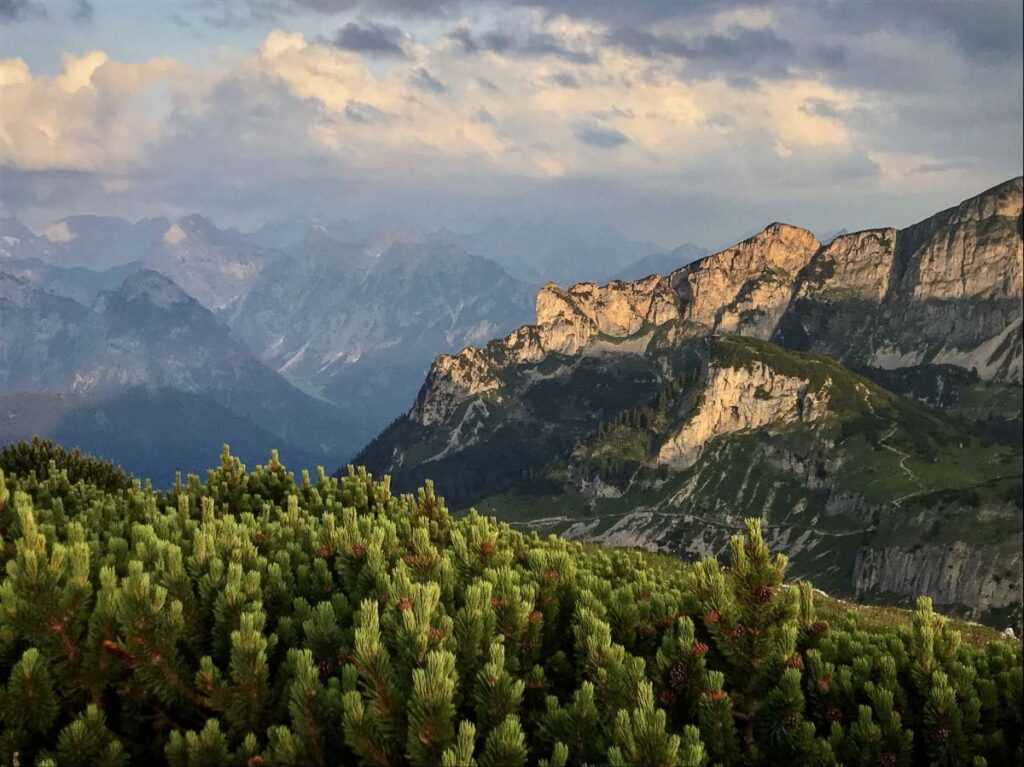 Alpen Sonnenaufgang Ein atemberaubendes Naturschauspiel