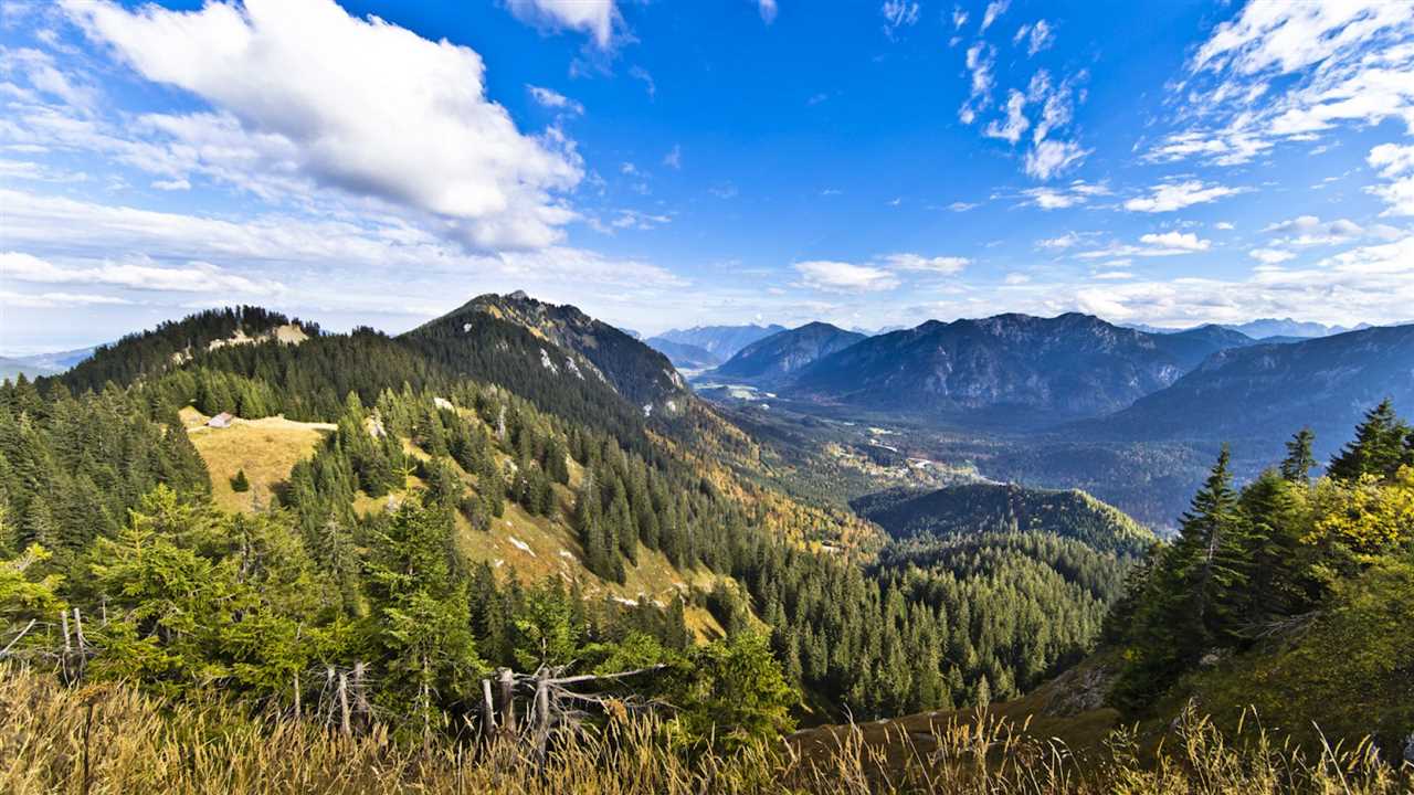 Naturwunder der Ammergauer Alpen