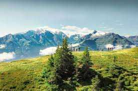 Der Alpen-Nationalpark Eine Reise in die Wildnis der Alpen