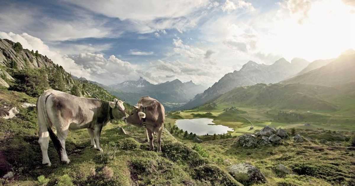 Kultur und Kulinarik in den Alpen