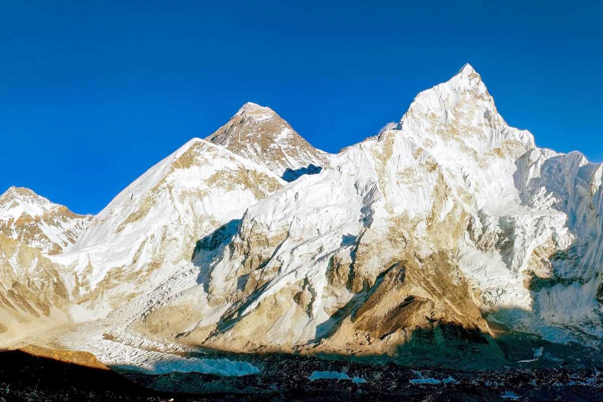 Die vielfältige Tier- und Pflanzenwelt der Alpen