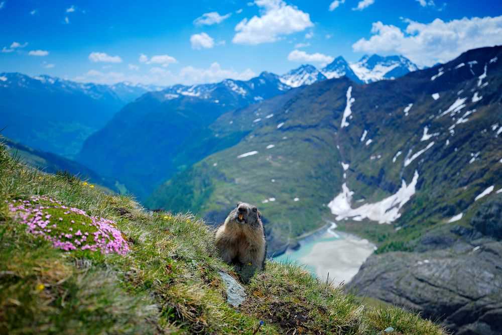Die Alpen als touristisches Ziel