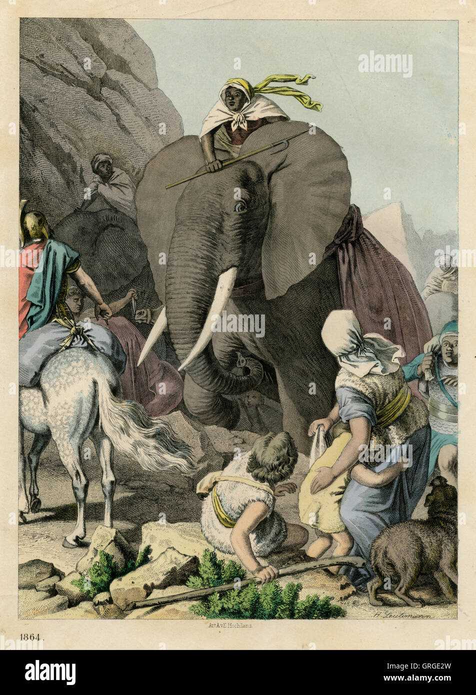 Die Elefanten