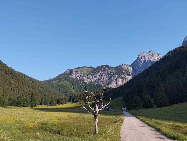 Kulinarische Highlights der Eisenerzer Alpen